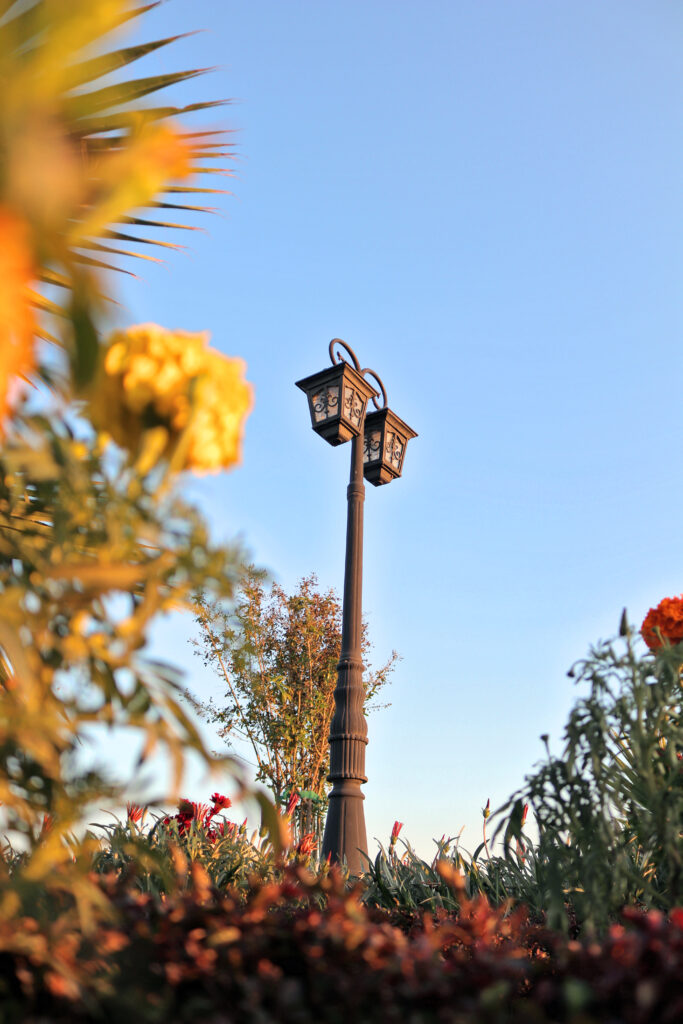 A lamp post among flowers