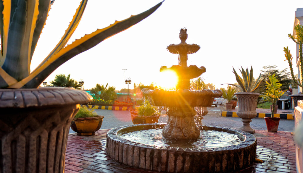 A fountain among potted plants at sunset